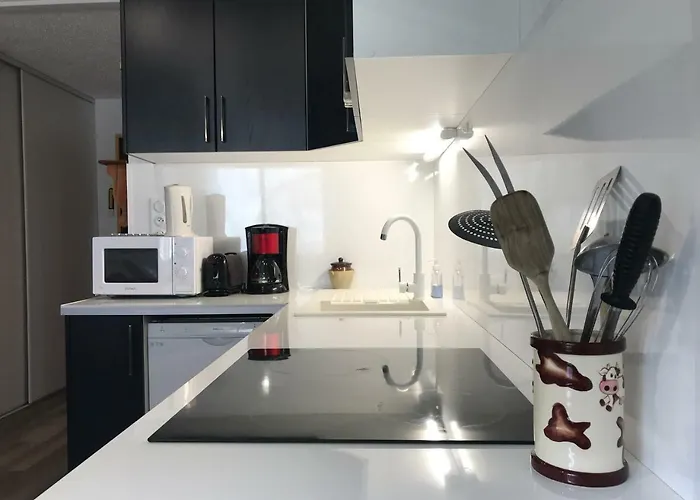 Appartement Pied Télécabine Avec Parking Couvert, T2 Bis 5 Personnes. Cauterets